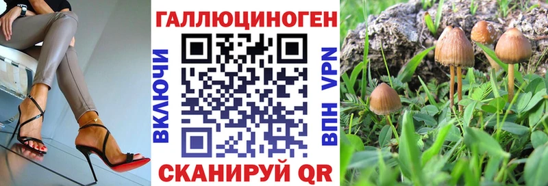 Псилоцибиновые грибы Cubensis  Красноперекопск 