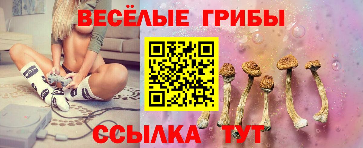 Галлюциногенные грибы ЛСД Красноперекопск