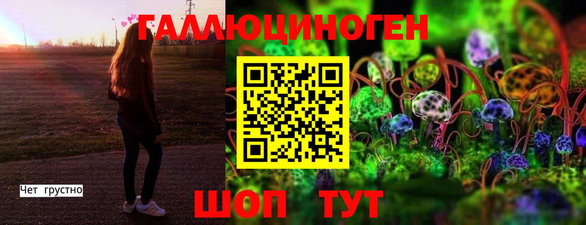 купить закладку  Псилоцибиновые грибы Psilocybine cubensis  Галлюциногенные грибы Magic Shrooms  Вход с VPN  Красноперекопск 